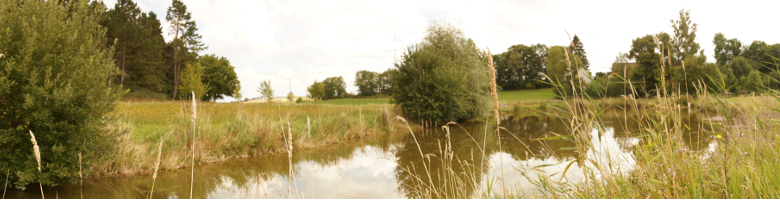 Gaubüttelbrunn See